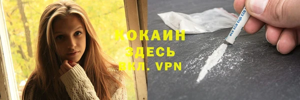 ешки Арсеньев