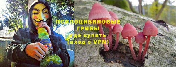 ешки Арсеньев